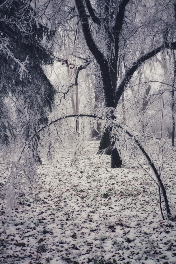 Photograph by Людмила Евстратова