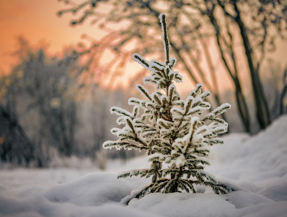 Photograph by ANDREi S.