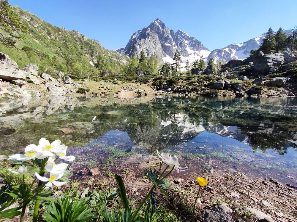 Photograph by Дарья Кирина