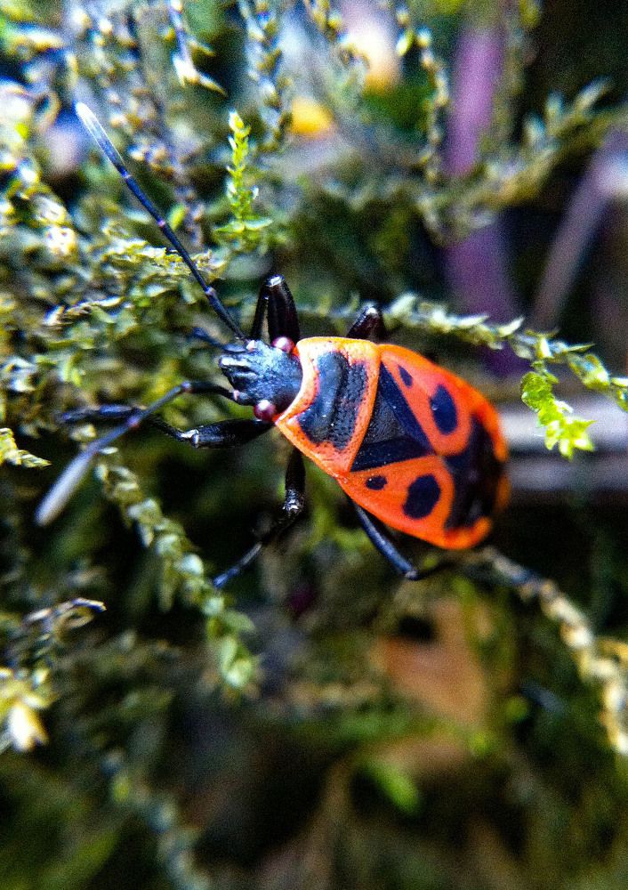 Фотография автора Алина Васильченко