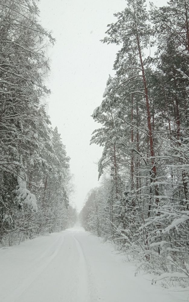 Photograph by Алексей Крукович