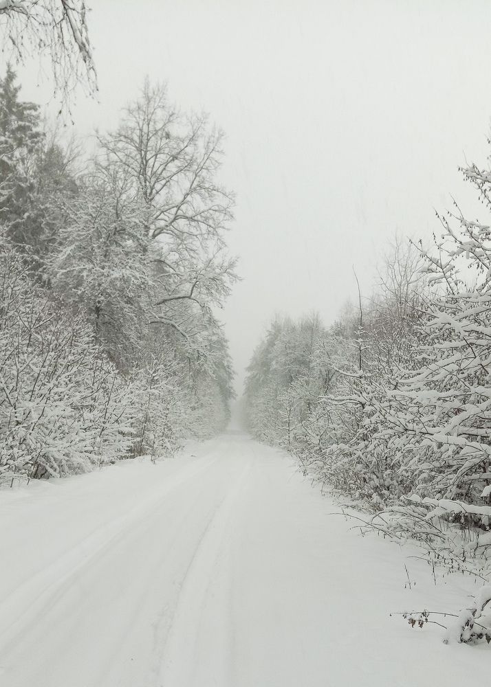 Photograph by Алексей Крукович