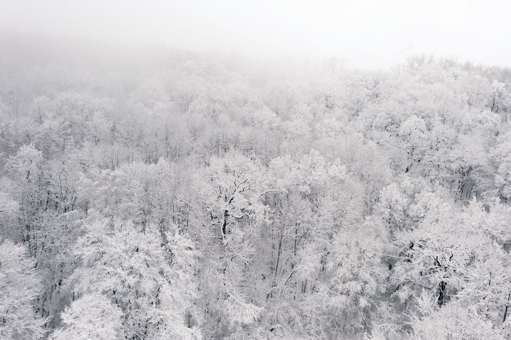 Photograph by Ольга Сергеева