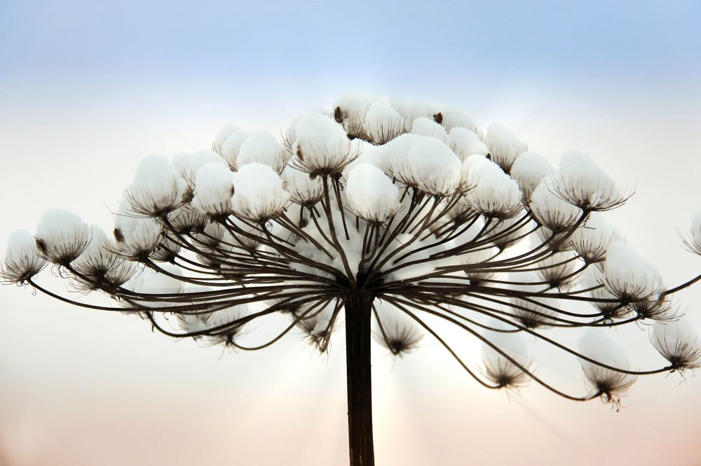 Photograph by Наталья Сапрыкина