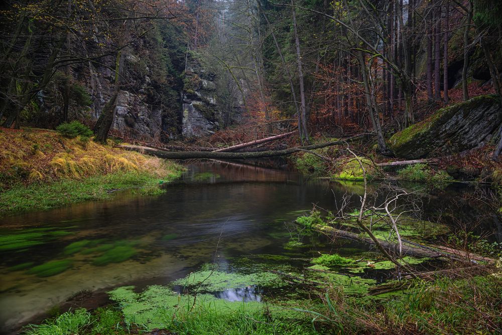 Photograph by Андрей Ожерельев