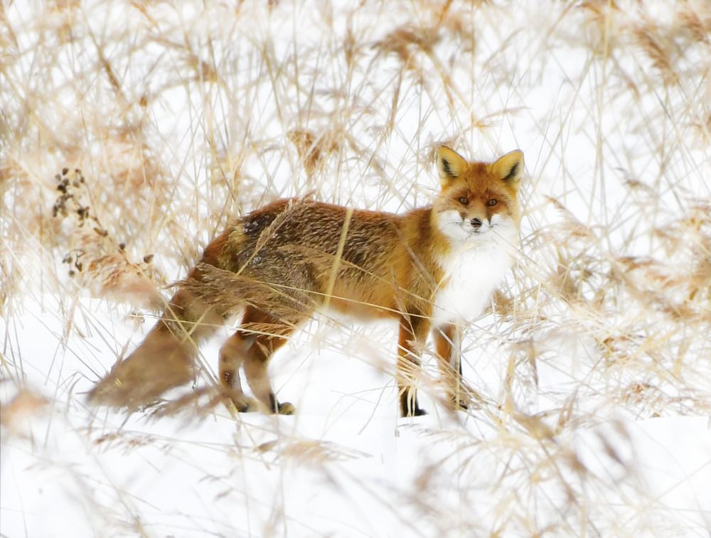 Photograph by Елена