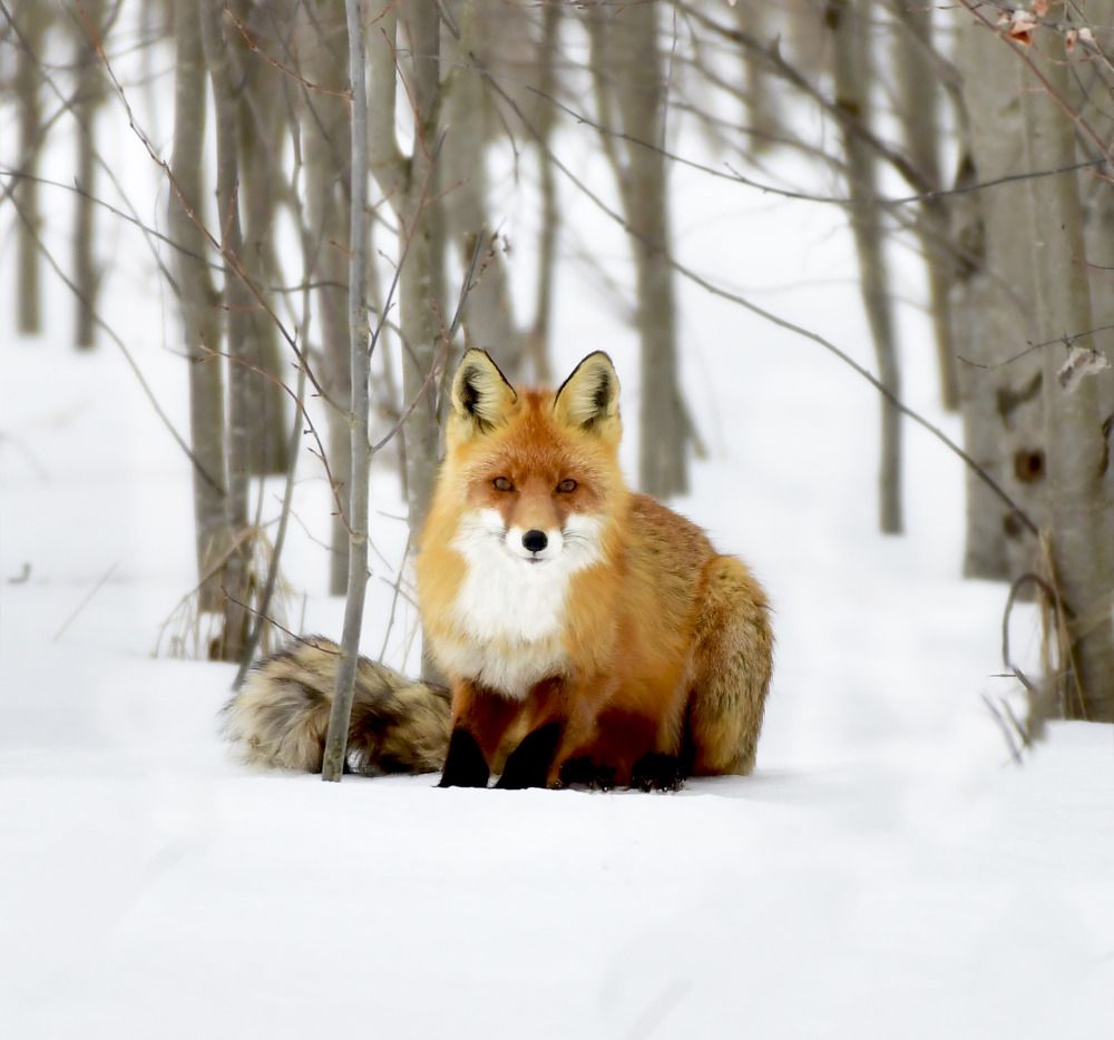 Photograph by Елена