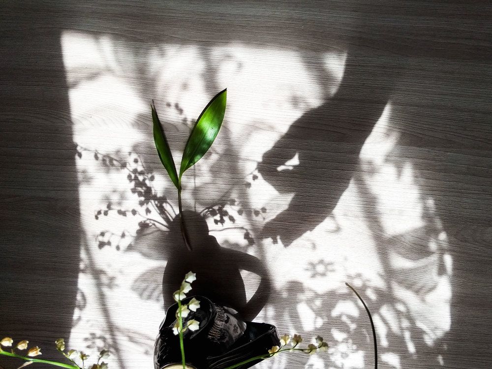 Игра света...и красок