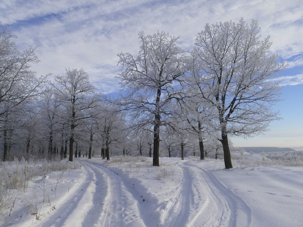 Photograph by Александр Кизим