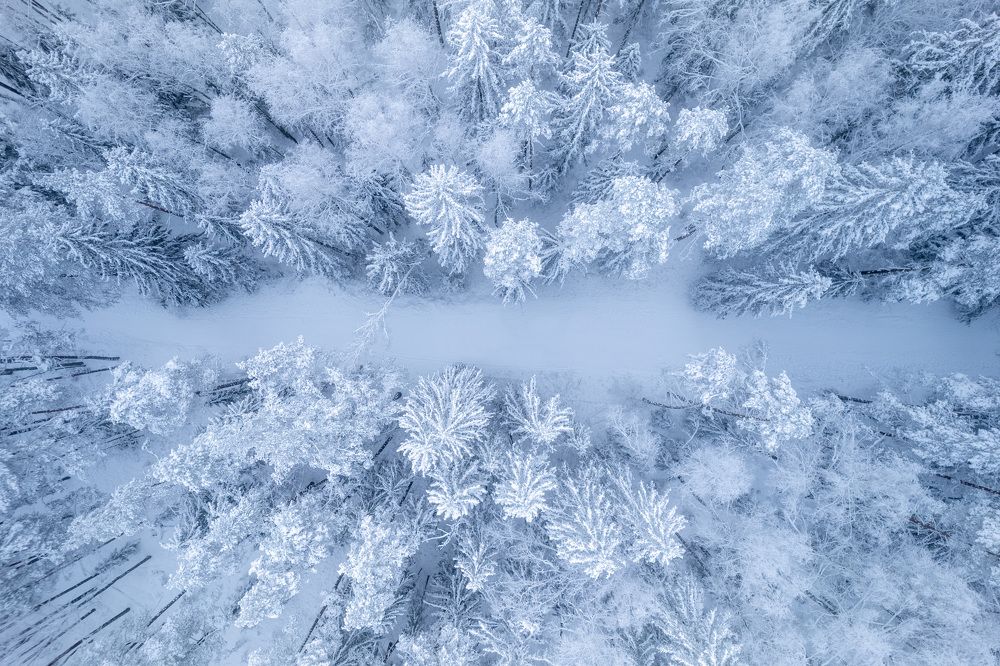 Photograph by Парфентьев Антон