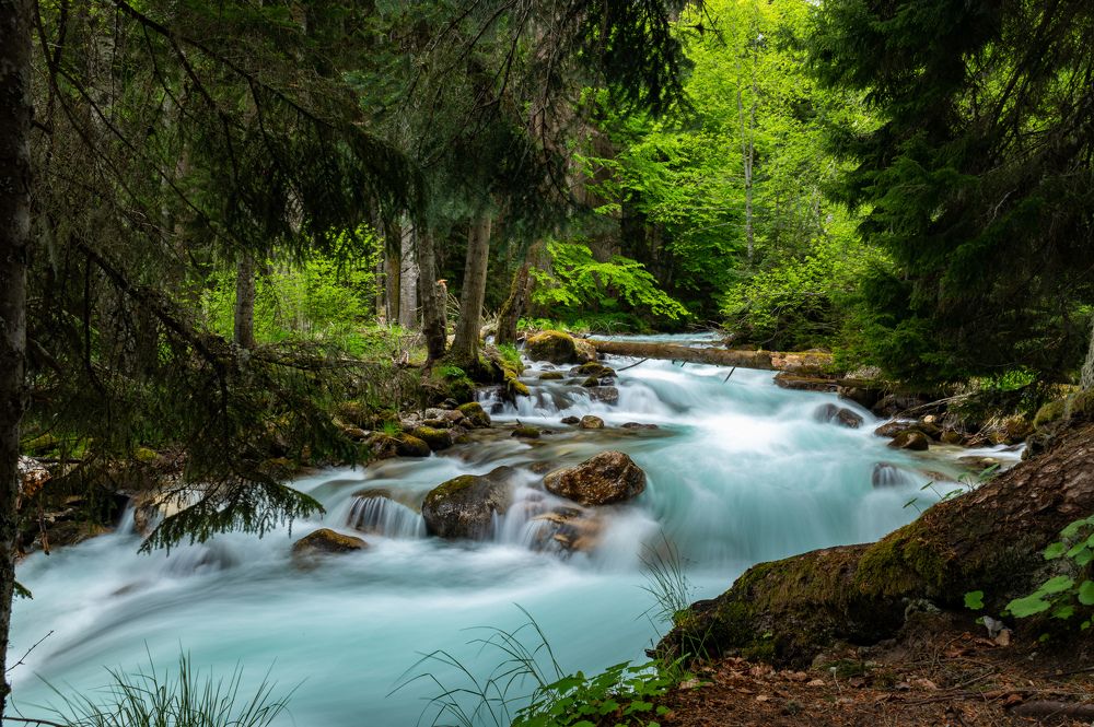 Photograph by Рамзан Давлетмирзаев