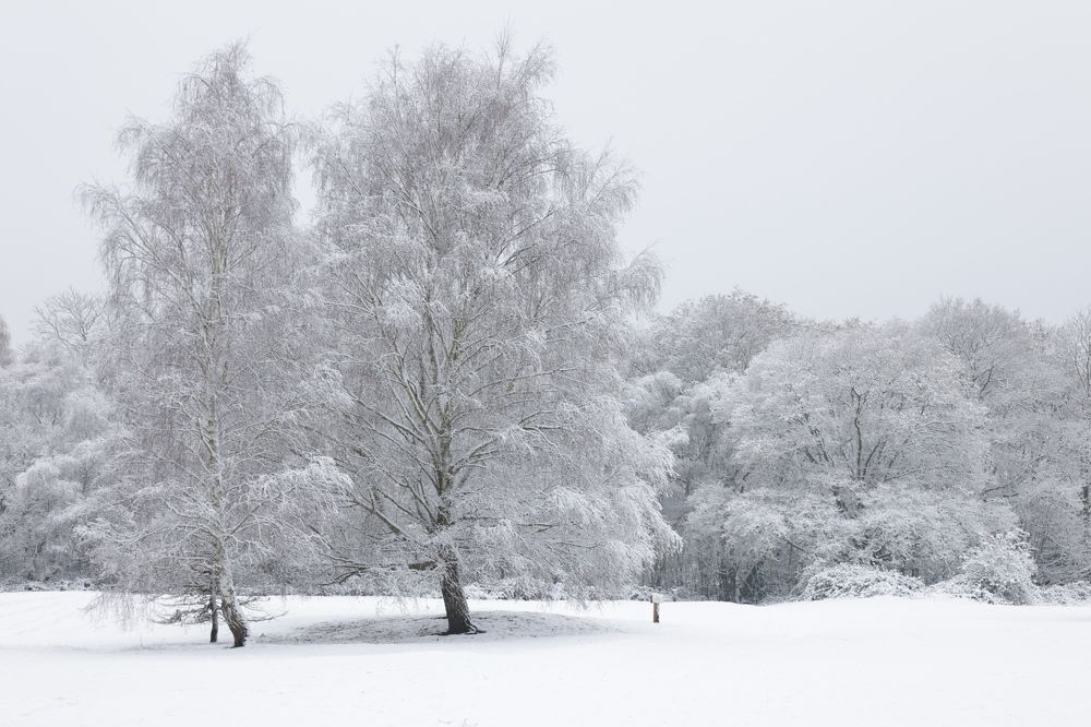 Photograph by Tatiana Serova