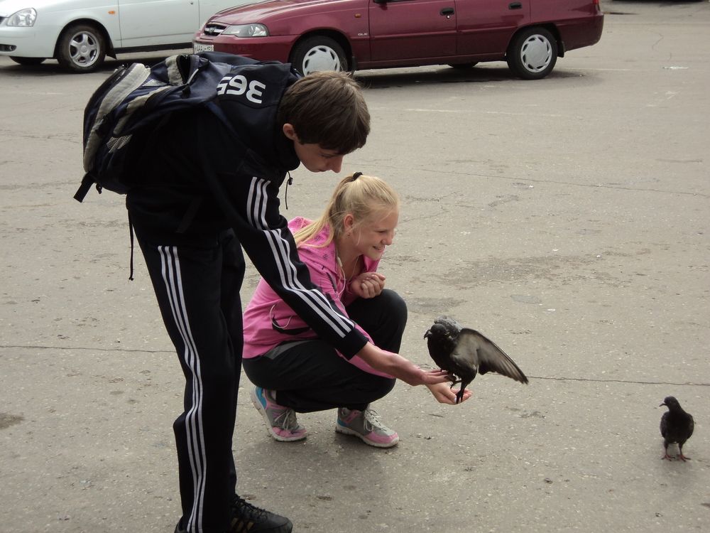 Photo #8496379