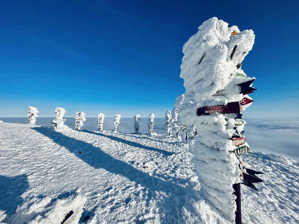 Photograph by Максим Буц