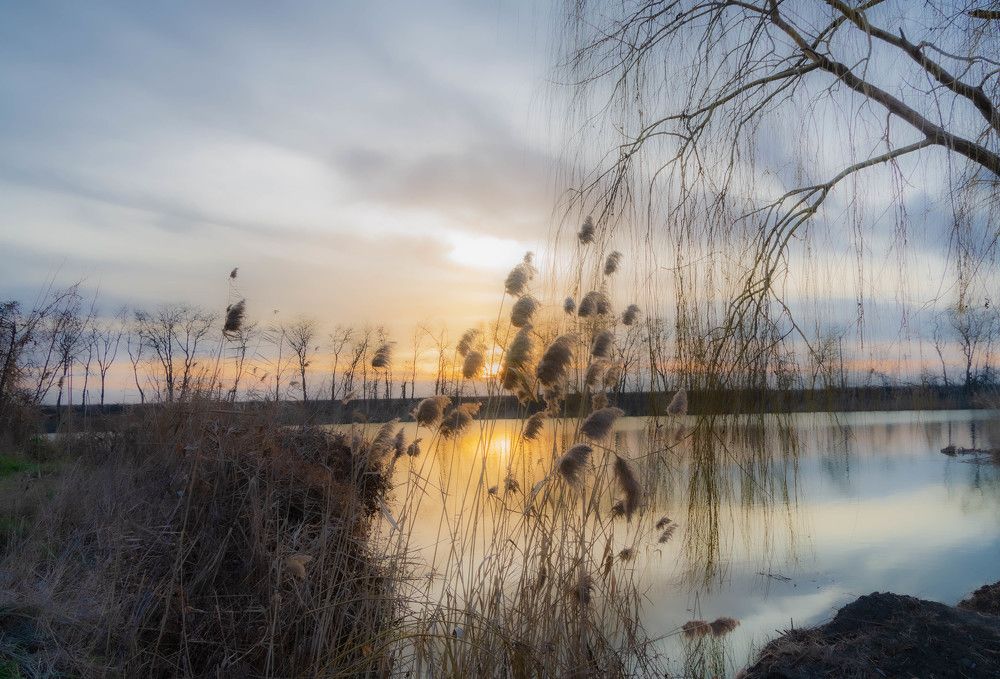 Photograph by Редько Александр