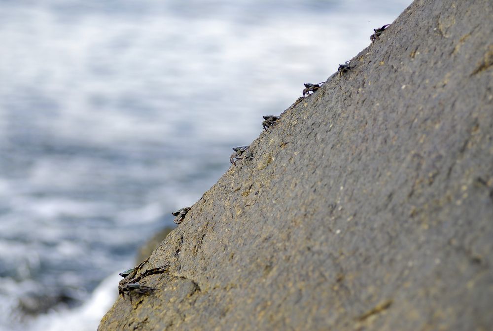 Photograph by Андрей Букин