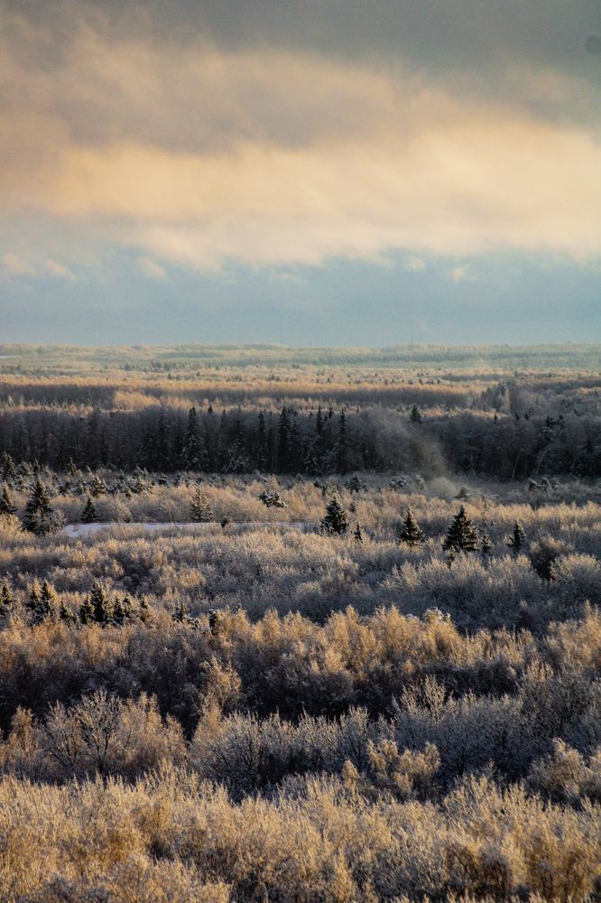 Photograph by hobbit