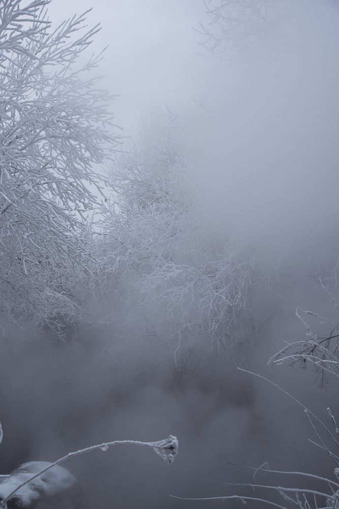 Фотография автора Войнов Дмитрий