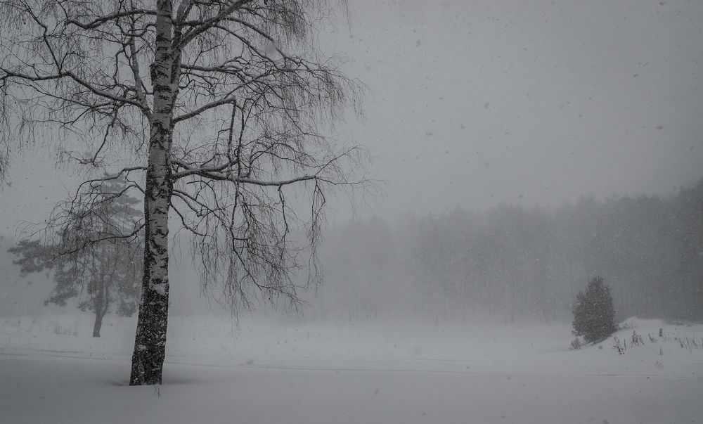 Photograph by Виктор Рыков