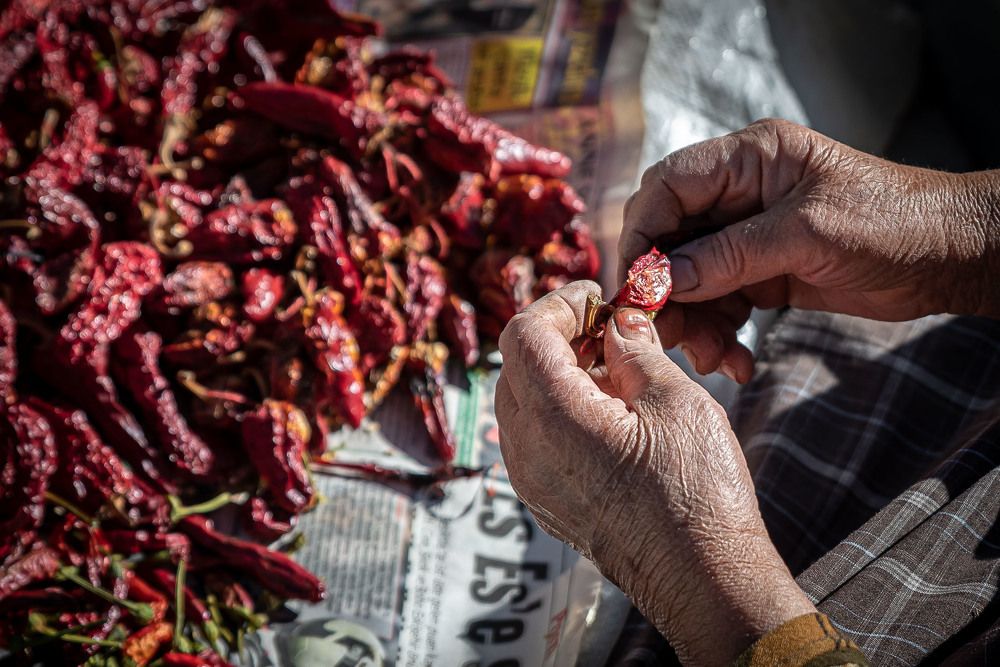 Фотография автора Ozgur Roger Sayitoglu