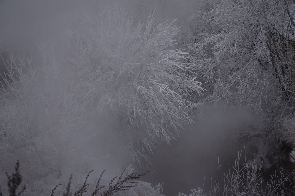 Фотография автора Войнов Дмитрий
