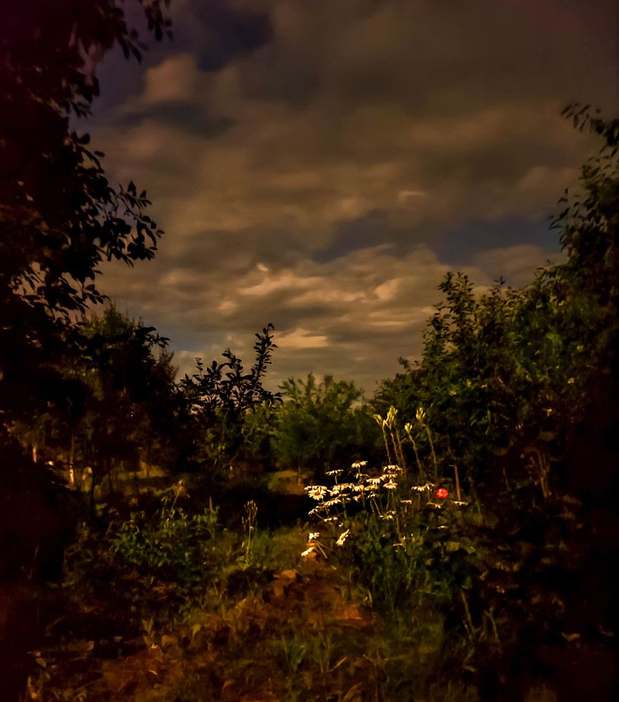 Photograph by Сергей Мамалюк