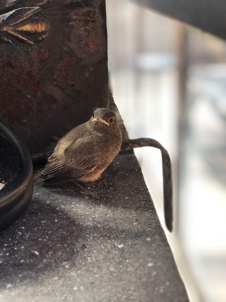 Фотография автора Евгения Елисеева