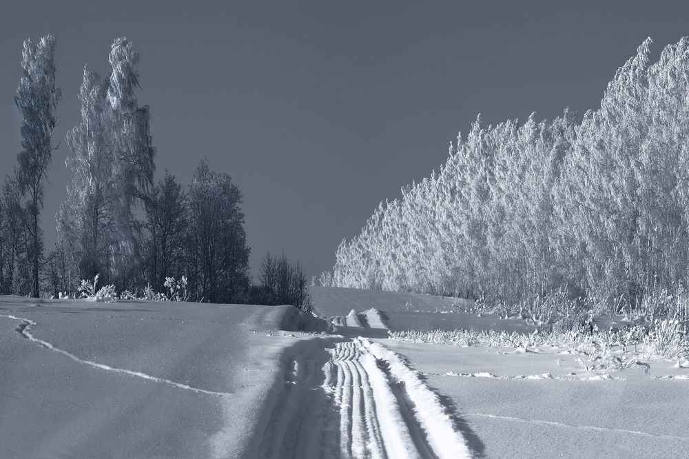 Зайчишка пробежал...