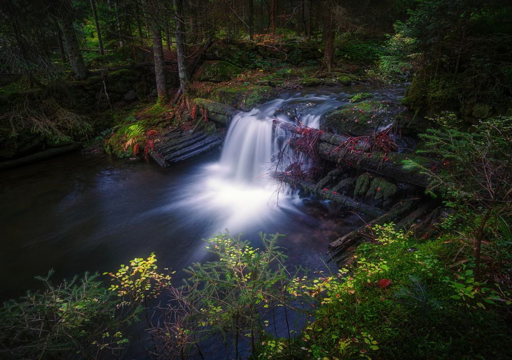 Photograph by Андрей Ожерельев