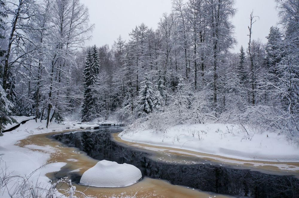 Фотография автора Екатерина Кожевникова