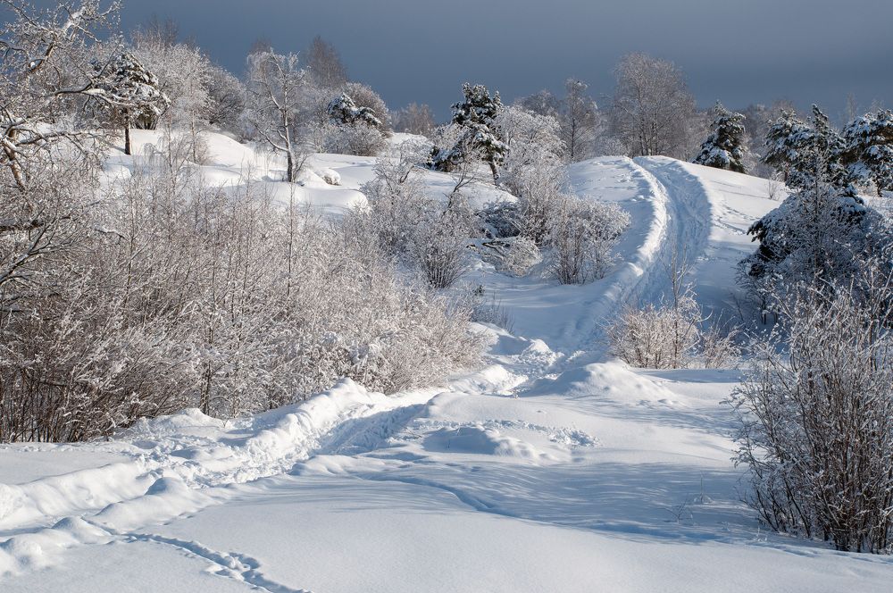 Фотография автора Екатерина Кожевникова