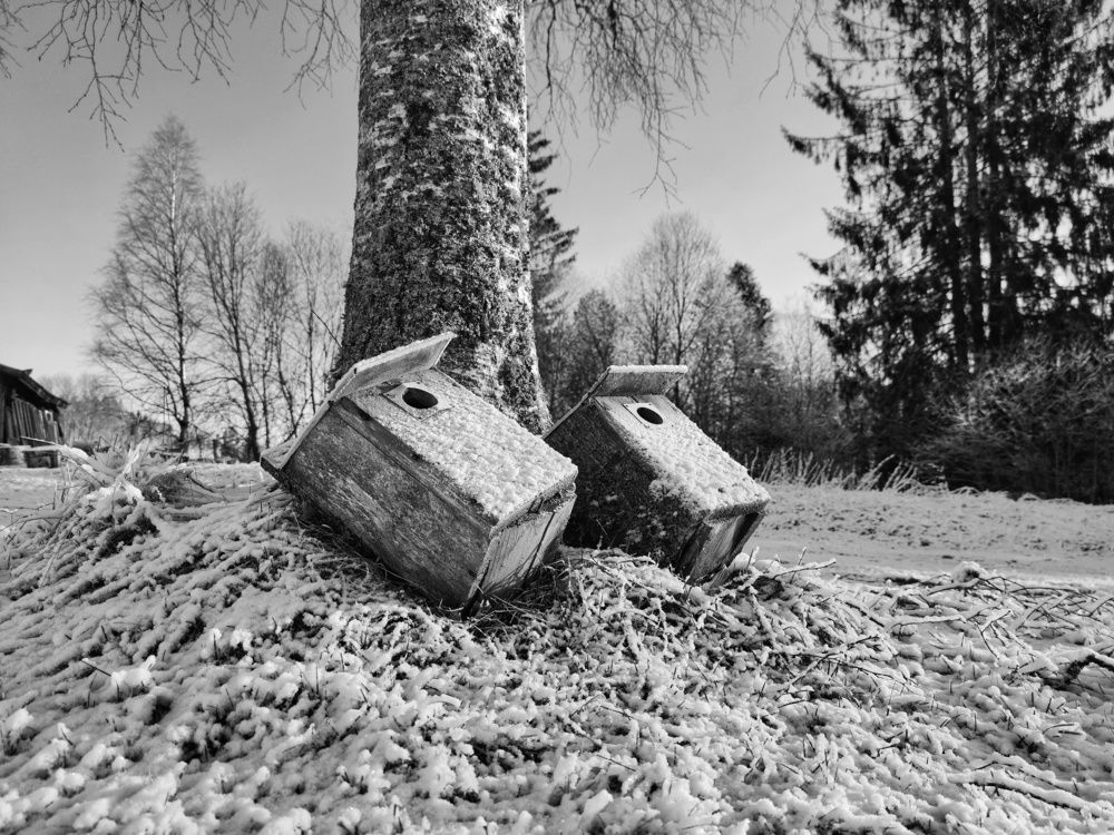 Photograph by Константин Цыкалюк