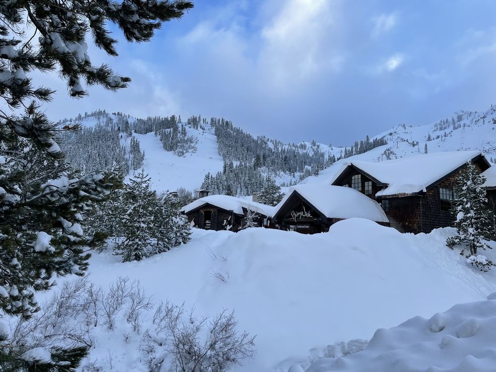 Фотография автора Evgenia