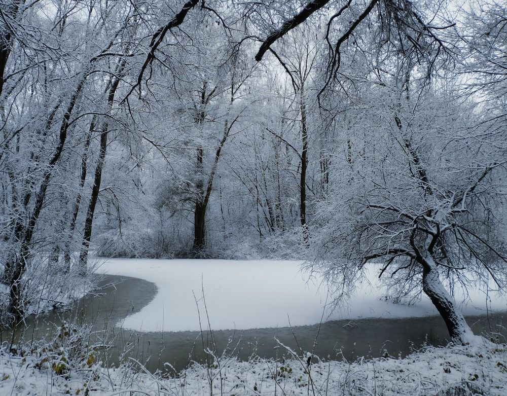 Photograph by Irina Dali