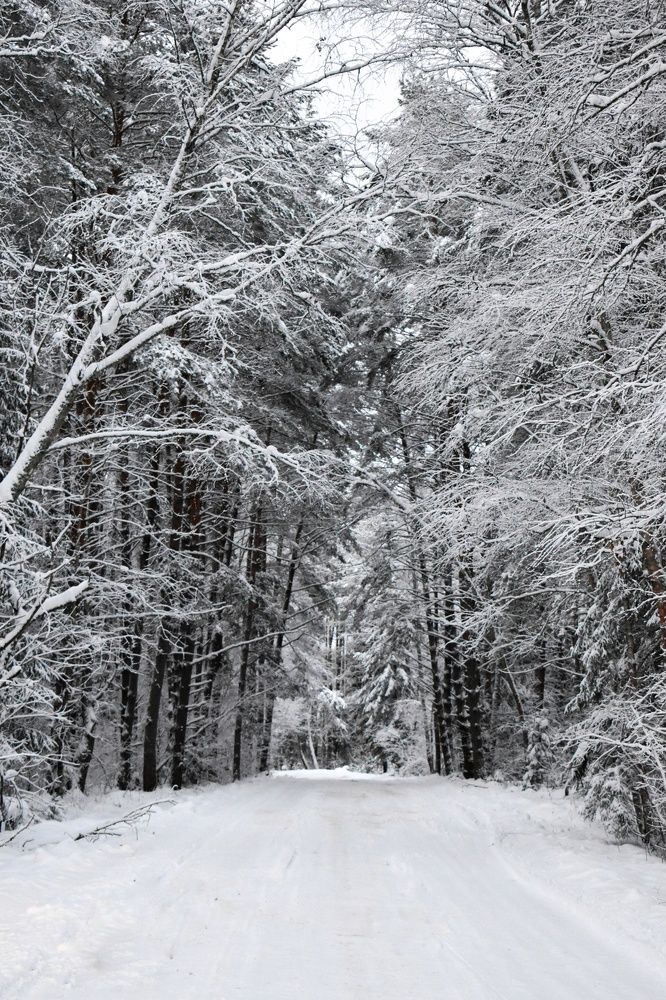 Photograph by Татьяна Сурова