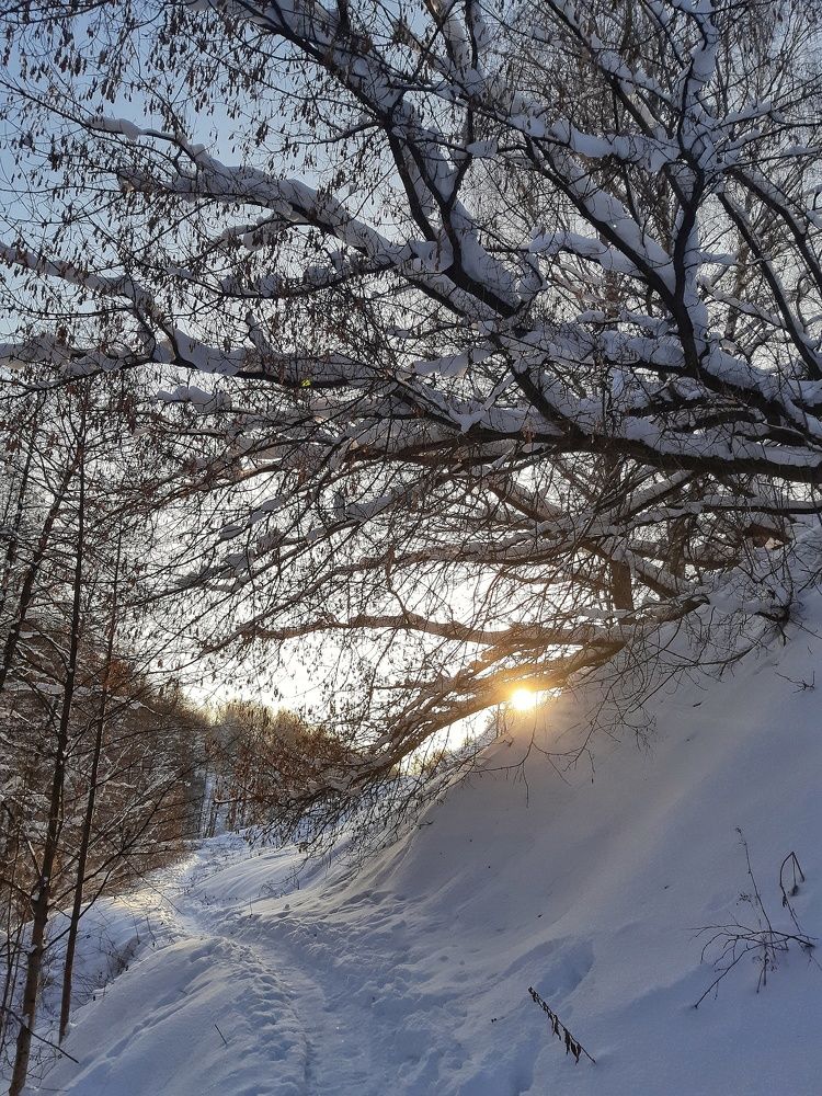 Photograph by Татьяна Сурова