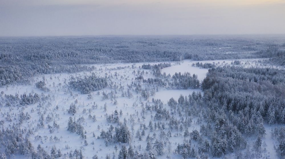 Photograph by Вадим Сташкевич
