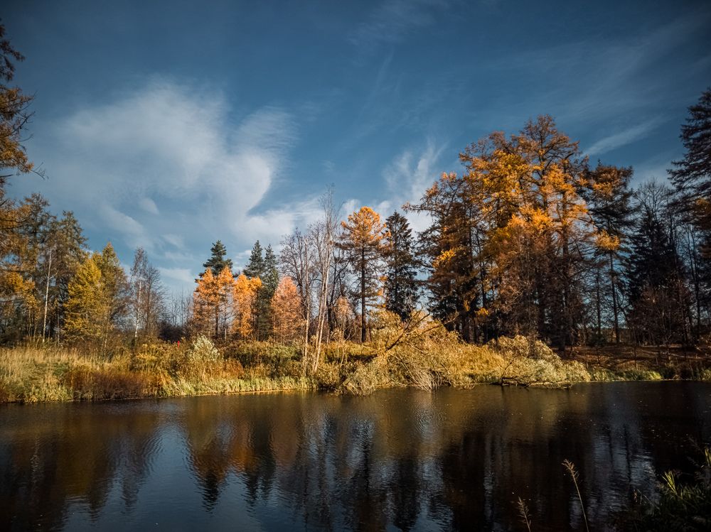 Photograph by Александр Безуглый