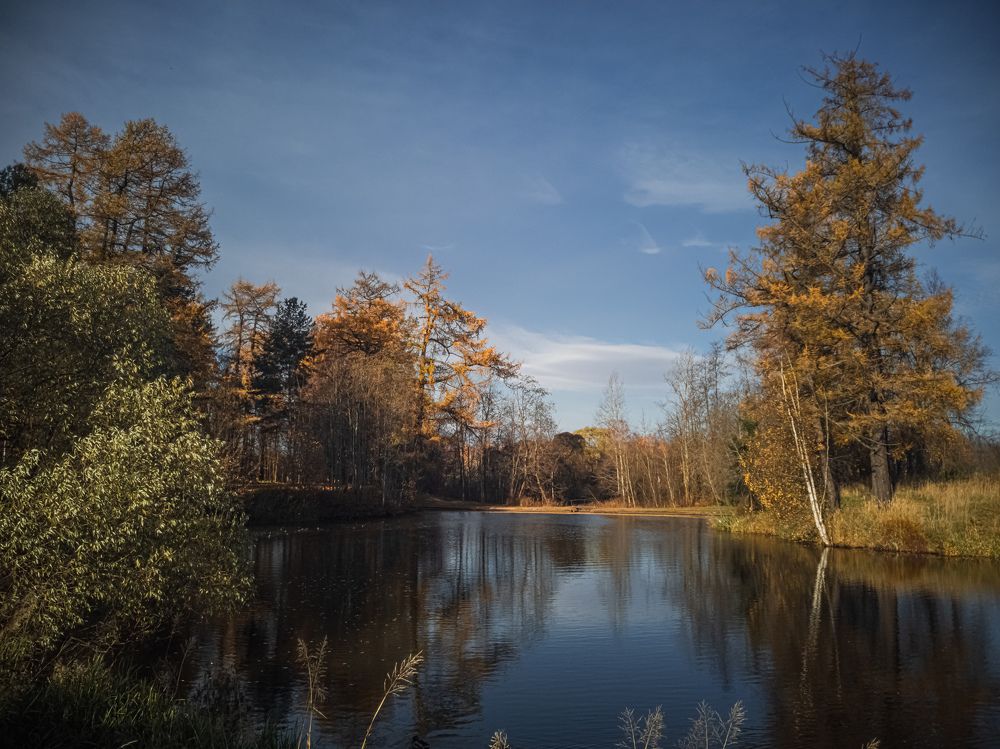 Photograph by Александр Безуглый