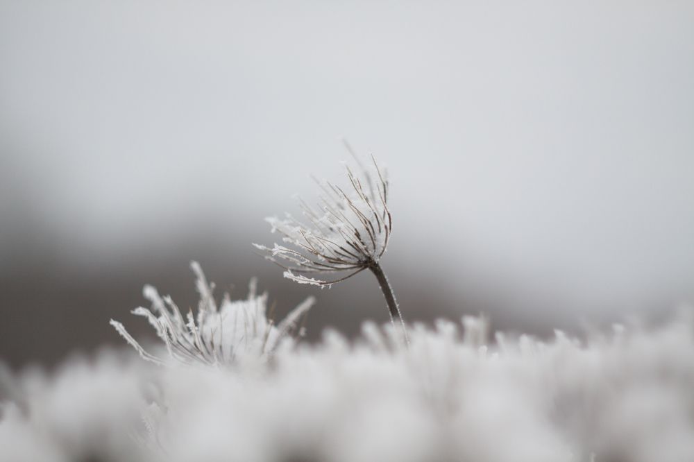 Photograph by Mihail Voronin