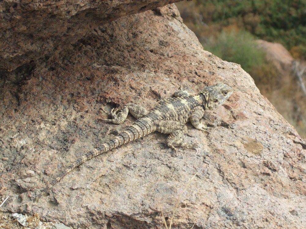 Фотография автора NECMETTİN SOBUTAY