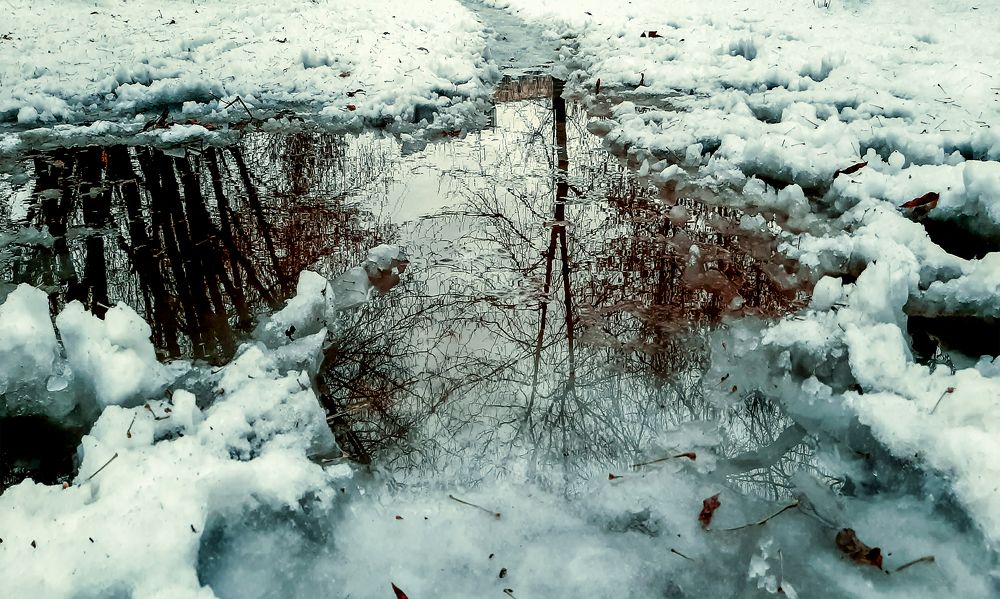 Фотография автора Дмитрий Нефёдов