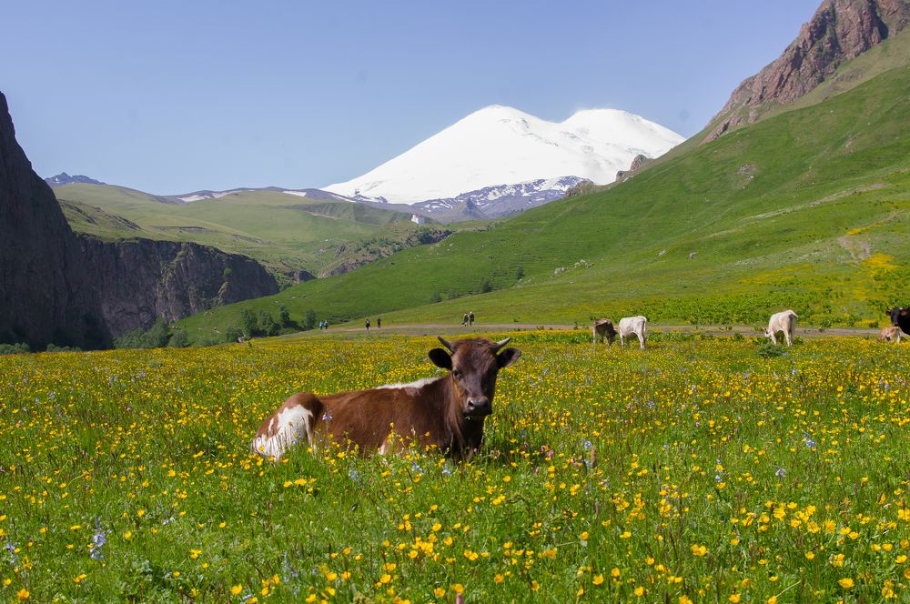 Фотография автора Ксения Смирнова