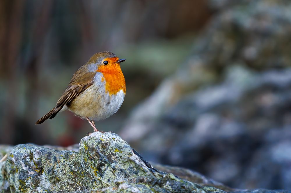 Photograph by Zaheer Aslam Khan