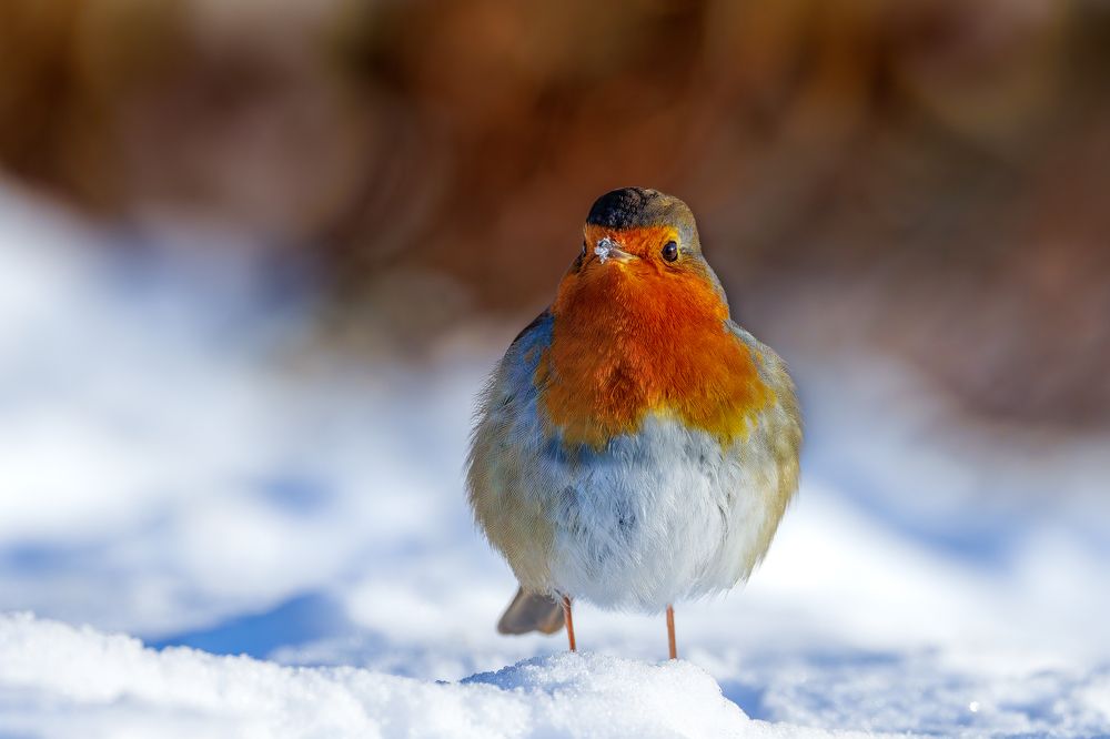 Photograph by Zaheer Aslam Khan