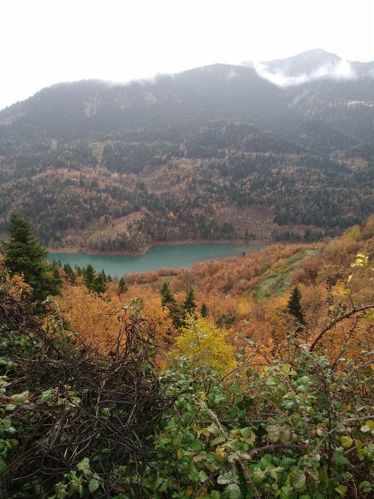 Фотография автора John Tsaklanos