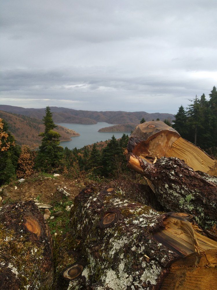 Фотография автора John Tsaklanos