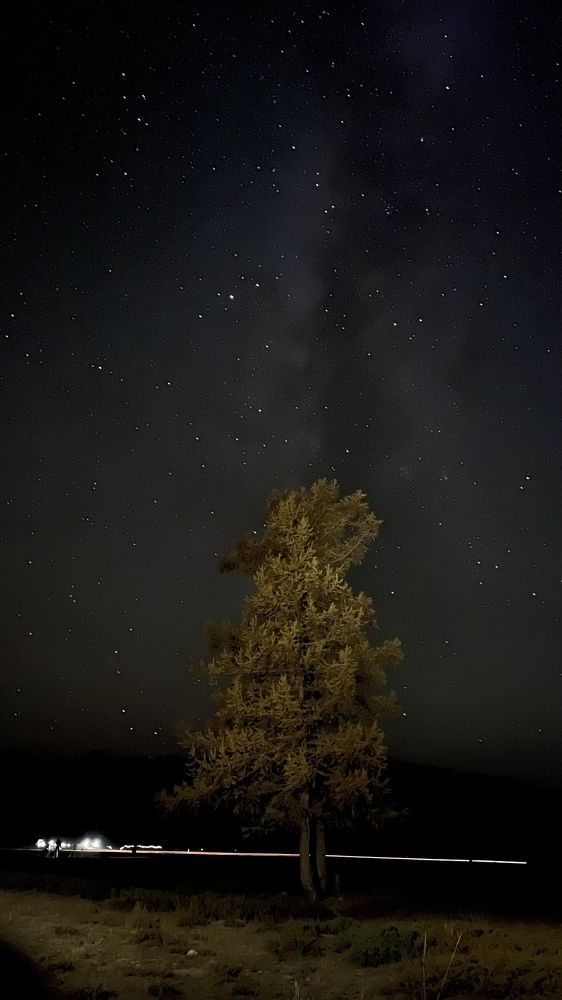 Photograph by Светлана Полякова