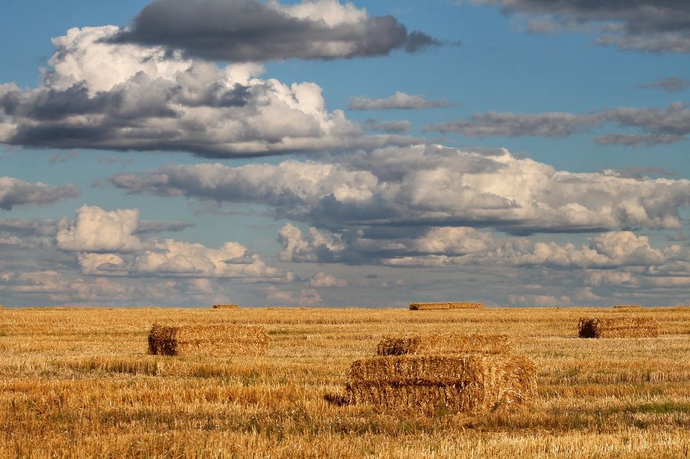 Photograph by Андрей Сорокин