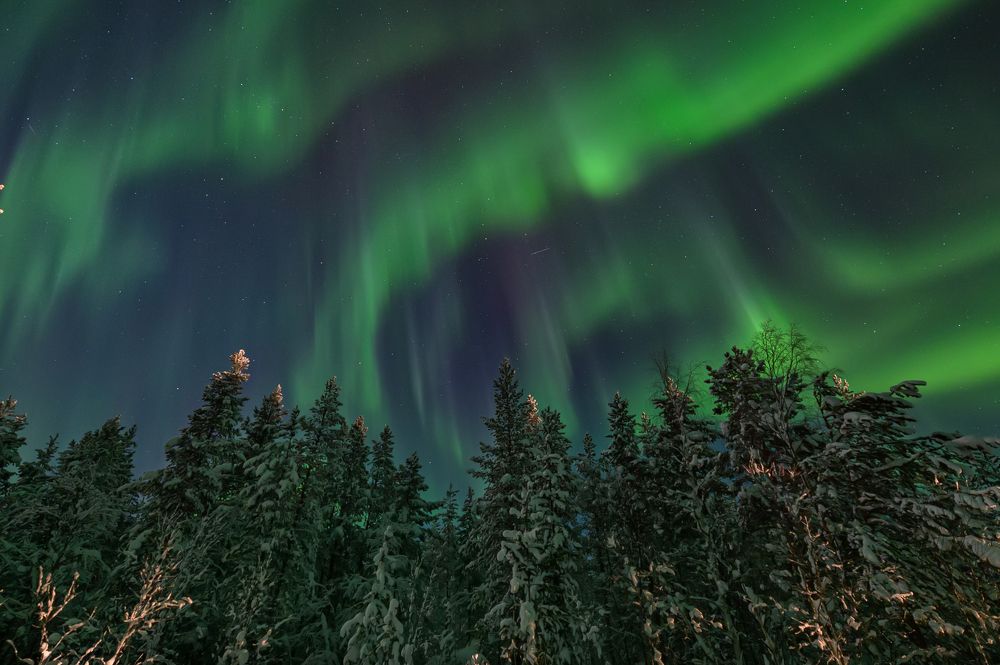 Photograph by алексанндр микулин